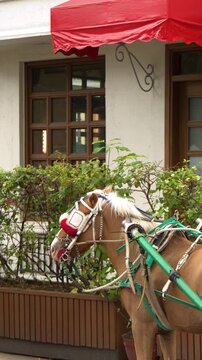 Traditional Filipino Kalesa Horse Carriage Standing Outside a Building in Tagaytay
