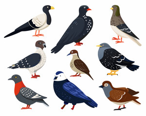 Fototapeta premium A colorful collection of various bird species in a flat illustration style