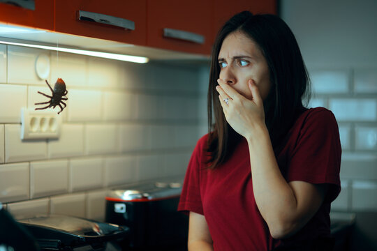 Woman Disturbed By Huge Spider in the Kitchen. Person scared by an insect in her own home