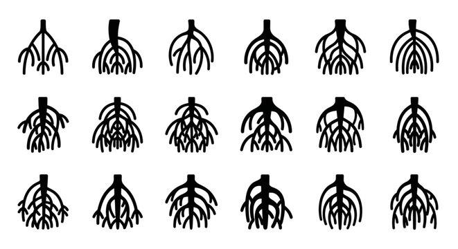 Collection of Various Plant Root Systems Showcasing Diverse Structures and Growth Patterns