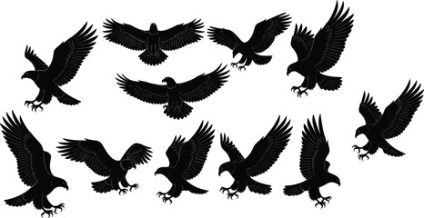 Obraz premium Set of flying eagle silhouettes isolated on white background vector collection of predatory birds in flight spread wings wildlife design elements for branding illustration