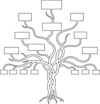 Genealogy family tree chart illustration with blank boxes for names, stylized as a growing plant