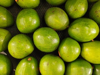 A bunch of fresh avocados. These Miki avocados from Indonesia are a premium variety of butter avocado or Persea americana featuring green skin, thick yellow flesh, and a rich, sweet flavor.