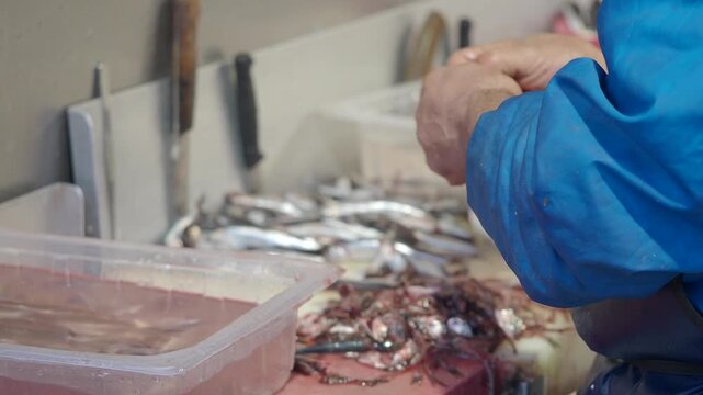 Fish cleaning in a market during morning hours