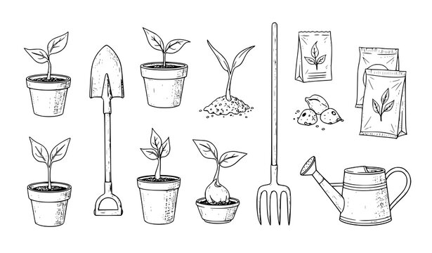  Hand drawn gardening tools and potted plants set in outline style, sketch vector collection with shovel rake watering can and seedlings isolated on light background