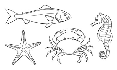 Fototapeta premium Marine life illustrations featuring fish, starfish, crab, and seahorse in a simple line art style from a direct viewpoint