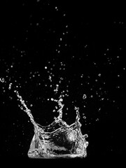 A stunning image of water creating a splash with droplets. A water splash is captured against a dark backdrop