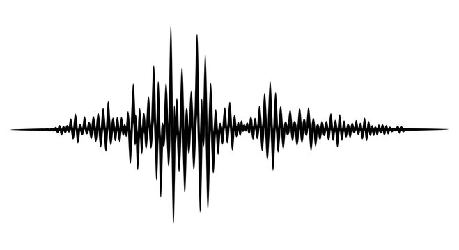 A black sound wave on a white background