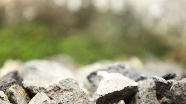 Sunlit rocks and moss on rocks in the mountains with blurred background. 4k nature
