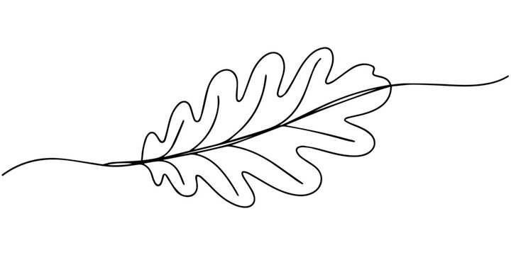 Continuous Line Oak Leaf Drawing, Minimalist continuous line drawing of a single oak leaf with a stem and a curved line representing the ground or a branch evoking nature and simplicity