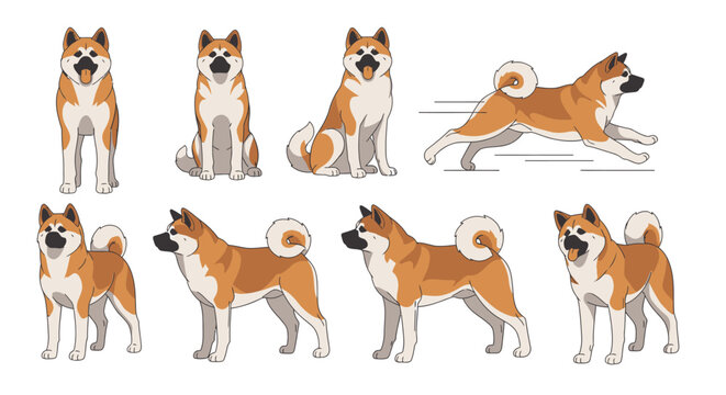 Cute Akita Inu Dog Illustration Set with Various Poses like Sitting, Running, and Standing on a White Background for Pet Care and Animal Themed Graphic Design.