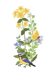 spring flowers and bird, vector drawing wild plants and blue tit at white background, St.Johns wort, germander speedwell, thyme and field pennycress, hand drawn botanical illustration © cat_arch_angel