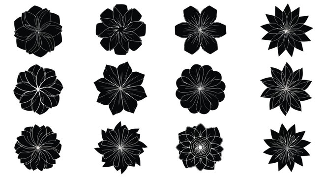 A collection of twelve intricate black and white snowflakes with unique patterns