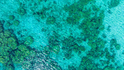 Top view of natural coral formations in shallow sea water with rippling sun reflections, perfect for summer vacation, snorkeling, and environmental conservation themes. concept environment lagoon. © Media 