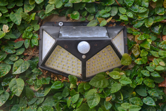 Close-up of a Solar Wall Light Surrounded by Green Leaves