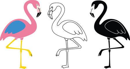 Obraz premium Three flamingos in different colors
