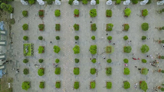 Top-Down Bird's Eye View of Traditional Green Pagoda Roofs in Vietnam
the green-tiled roofs of Linh Ung Pagoda and Thap Xa Loi. This shot highlights the geometric symmetry