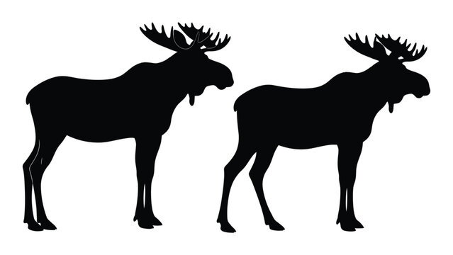 Two moose silhouettes stand side by side depicted in a minimalist black and white style