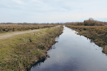 A calm rural landscape with a narrow water canal and grassy banks under a cloudy sky. Concept of nature, countryside, and peaceful outdoor environment.