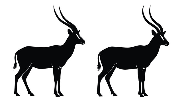 Two gemsbok antelopes stand in profile depicted as black silhouettes against white