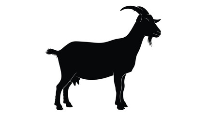 Fototapeta premium Silhouette of a male goat standing in profile against a white background