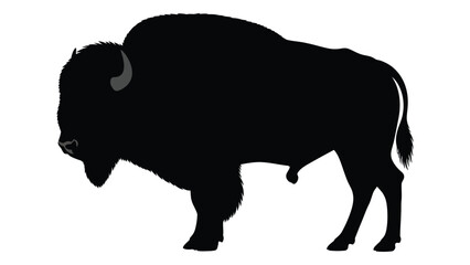 Silhouette of a bison standing in profile showcasing its powerful build