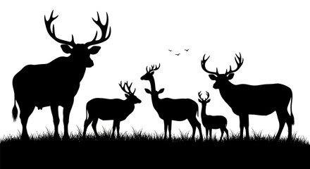 Naklejka premium Family of deer grazing in meadow with antlers