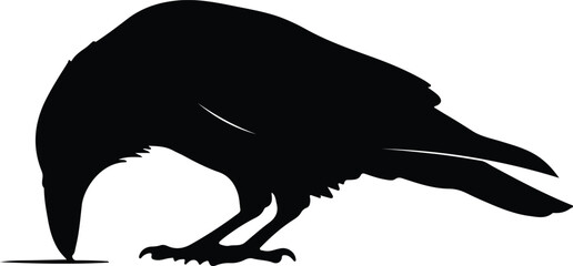 Fototapeta premium Silhouette black crow bird feeding on ground simple illustration vector design