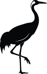 Fototapeta premium Silhouette common crane standing on one leg isolated vector design