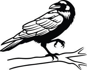 Fototapeta premium Silhouette crow perched on a branch detailed vector design