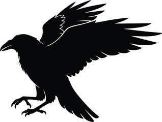 Fototapeta premium Silhouette flying raven bird with spread wings and sharp claws vector design