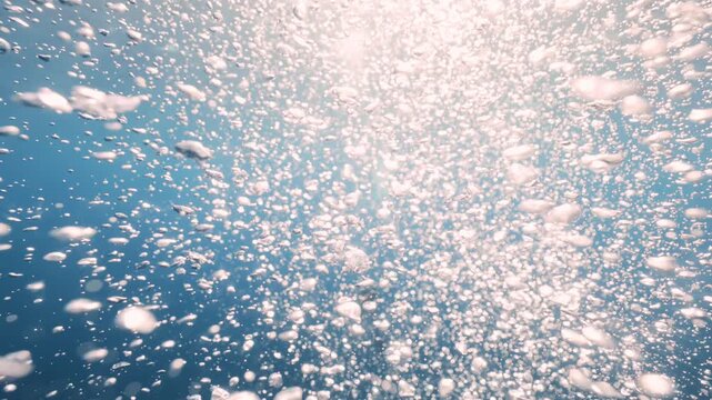 Thousands of air bubbles rise from scuba divers&rsquo; tanks in the Red Sea, forming a sparkling underwater curtain. Divers appear blurred in the distance, creating a dramatic and immersive reef scene.
