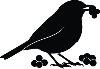 Silhouette of a bird holding berries in its beak with berries at feet vector design © AbuSadat