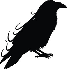 Fototapeta premium Silhouette raven perched on white background vector design