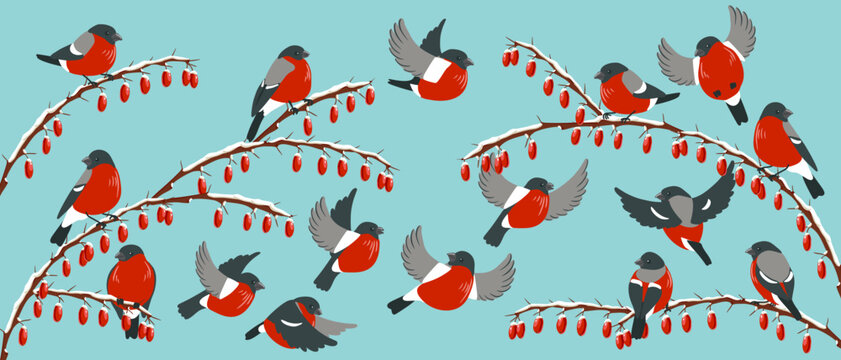 vector drawing bird, bullfinches at wild cornel branch with red berries and snow in winter, hand drawn wildlife illustration