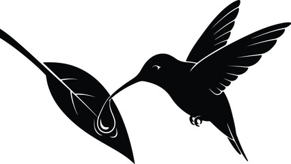Silhouette hummingbird feeding from flower with dewdrop vector design © AbuSadat