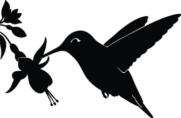 Silhouette Hummingbird Feeding from Flower vector design © AbuSadat