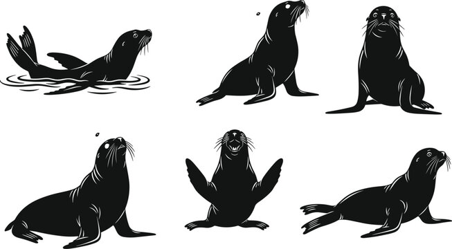Set of black sea lion and seal silhouettes in various poses swimming sitting and barking isolated on white background vector