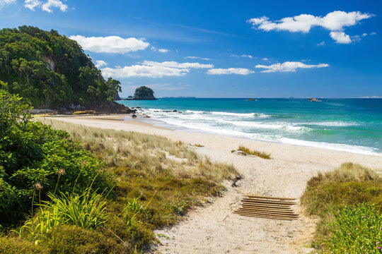 A pathway down to the white sand beach at Whiritoa on New Zealand's Coromandel Peninsula