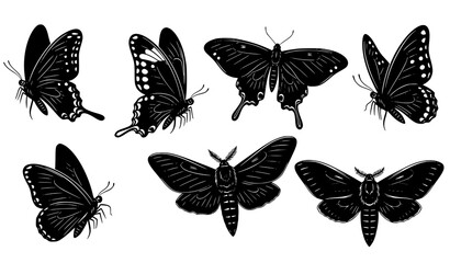 Butterfly and Moth Silhouette Flying Insect Vector Collection © Songkari