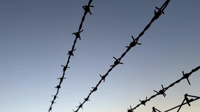 Barbed wire silhouetted against clear sky, symbolizing restriction and security, background