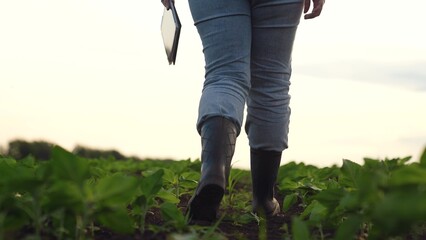 Agriculture, Digital farm assessment, Woman in the field, Reviewing plant rows, Agriculture technology use, Growing seedlings, Spring crop inspection, Farm boots and jeans, Green field technology © TO LOVE