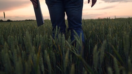 Agriculture, Digital tablet in farmer’s hand, wheat field walk, sunset in countryside, embracing modern farming, rubber boots on the ground, checking crop status, integrating technology in rural © TO LOVE
