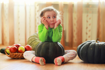 Fototapeta premium Little child choose a pumpkin at autumn. Child sitting on giant pumpkin. Pumpkin is traditional vegetable used on American holidays - Halloween and Thanksgiving Day.