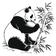 Vector panda illustration eating bamboo © Vector Tanvir