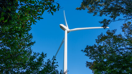 A large white wind turbine stands against a clear blue sky, framed by lush green branches. This low-angle shot highlights sustainable energy in a natural environment. © smayakko