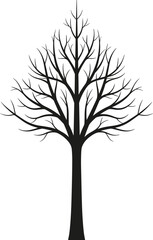 Obraz premium Black silhouette of a bare winter tree with detailed branches isolated on white background for seasonal nature and family designs