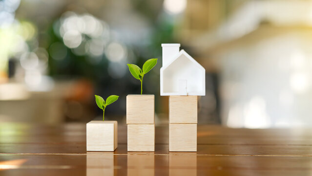 white house model on wooden blocks with small green plants growing for sustainable real estate investment and property financial growth concept.