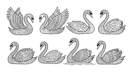 Intricate black and white illustrations of swans in various poses © Begum