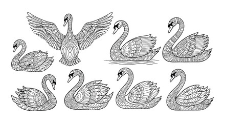 Intricate black and white illustrations of swans in various poses © Begum